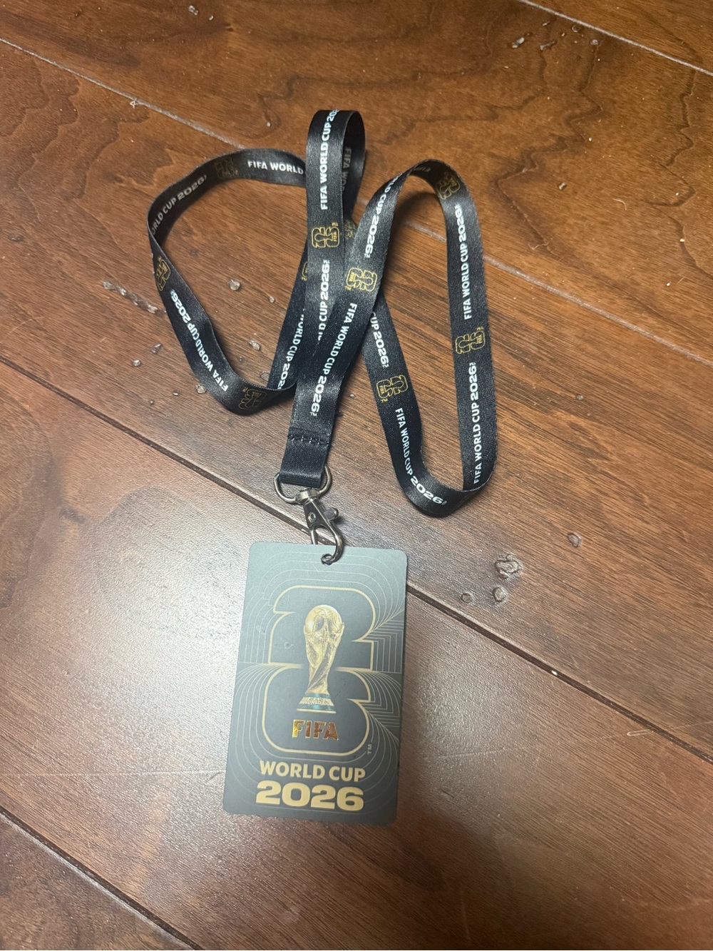 1 x FIFA World Cup 2026 Fan ID